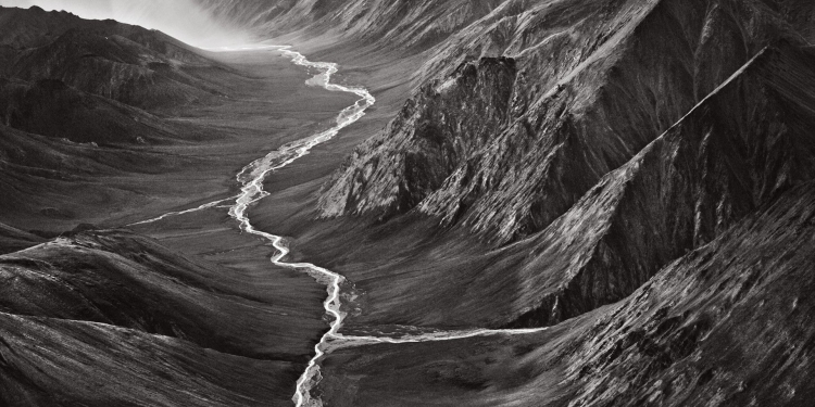 Sebasti&atilde;o Salgado