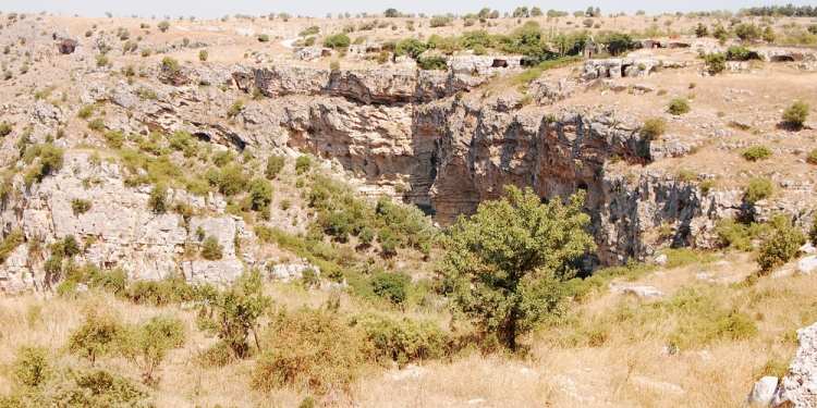 Bike Tour nel Parco Nazionale dell'Alta Murgia
