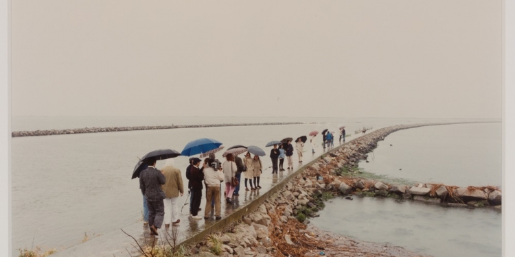 Verso la foce