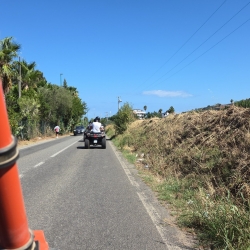 Meeting delle Famiglie 2026 - On the road_26.jpg